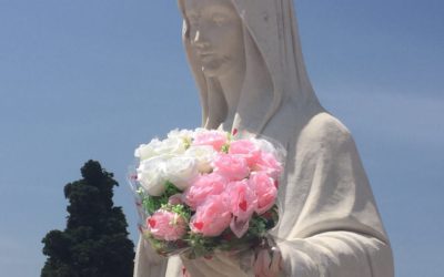 Mensagem da Rainha da Paz, 25 de junho 2023.