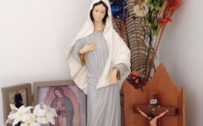 Mensagem da Rainha da Paz, 25 de maio de 2022.